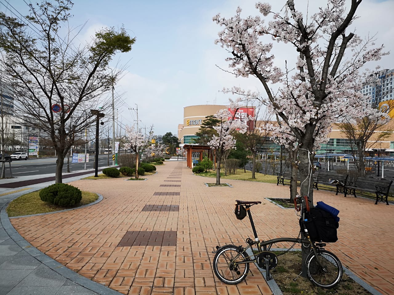 PHOTO 2019-06-10-19-12-19%202