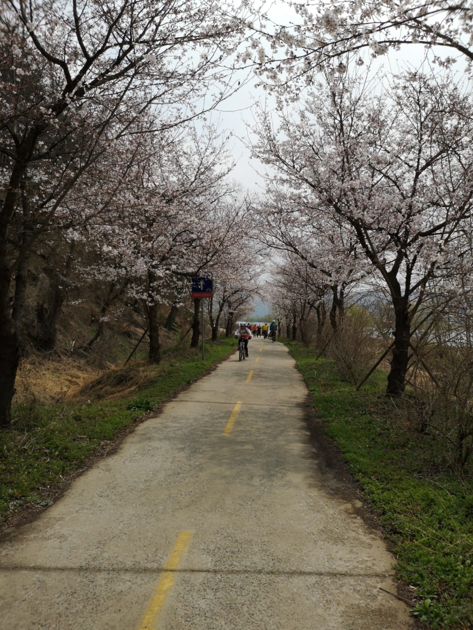PHOTO 2019-06-10-19-12-19